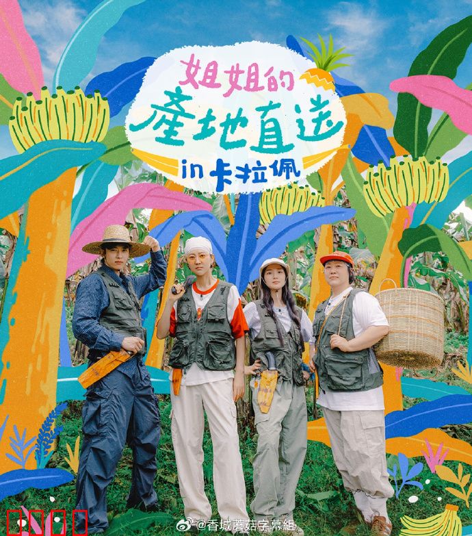 姐姐家的产地直送3:情归田园