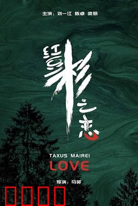 红豆杉之恋:深山里的守护