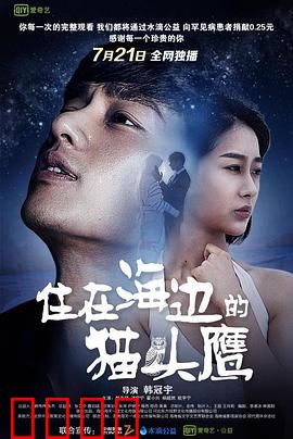 住在海边的猫头鹰:治愈系爱情