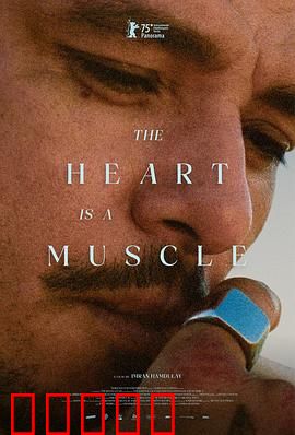 心如肌理:触摸心灵的伤痕